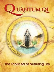 Quantum Qi
