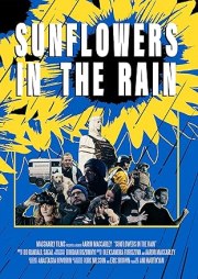 Sunflowers in the Rain