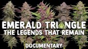 Emerald Triangle: The Legends That Remain
