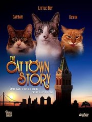 The Cat Town Story