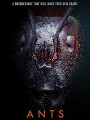 Ants