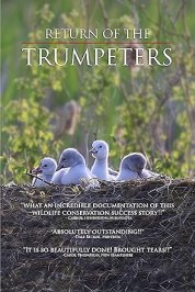 Return of the Trumpeters