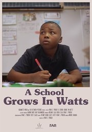 A School Grows in Watts