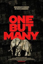 One But Many