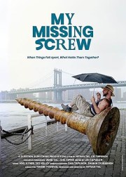 My Missing Screw