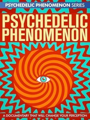 Psychedelic Experiences