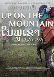 Up on the Mountain