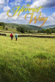 The Herriot Way