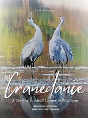 Cranedance A Story of Sandhill Cranes in Michigan