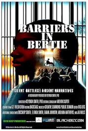 Barriers in Bertie