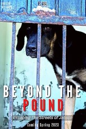 Beyond the Pound