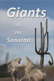 Giants of the Sonoran