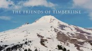 Friends of Timberline