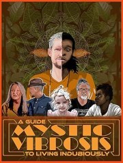 Mystic Vibrosis - A Guide to Living Indubiously