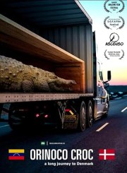 Orinoco Croc, a long journey to Denmark.