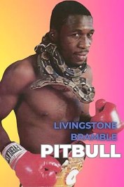 Pitbull