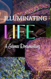 Illuminating Life