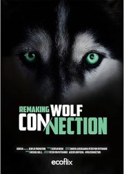 The Wolf Connection