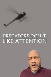 Predators Don't Like Attention