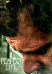 A Perfect Life