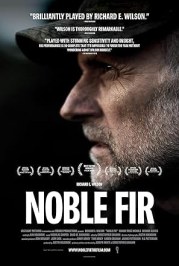 Noble Fir