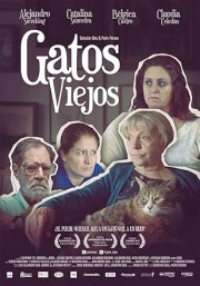 Gatos viejos