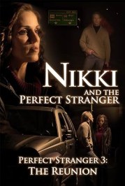 Nikki and the Perfect Stranger