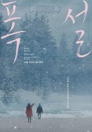 Heavy Snow