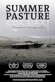 Summer Pasture