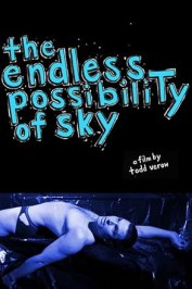 The Endless Possibility of Sky