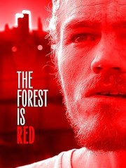 The Forest Is Red