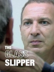 The Glass Slipper