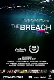 The Breach