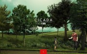 Cicada