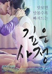 Gipeun sajeong