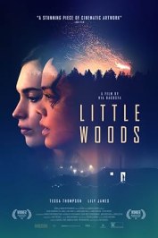 Little Woods