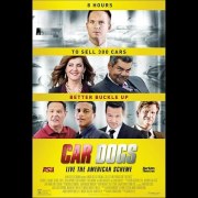 Car Dogs