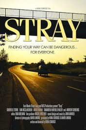 Stray