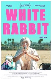 White Rabbit