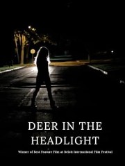 Deer in the Headlight