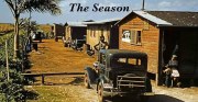 The Season