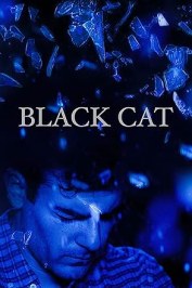 Black Cat