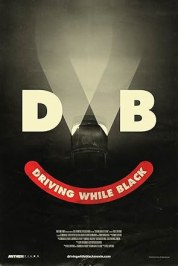 Driving While Black