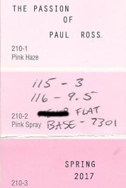 The Passion of Paul Ross