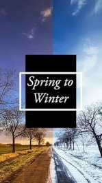 Spring to Winter