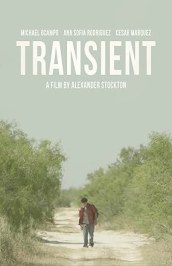 Transient