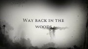 Way Back in the Woods
