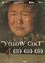 Yellow Colt