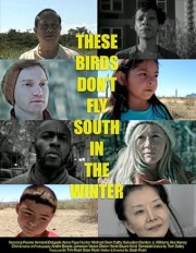 These Birds Don't Fly South in the Winter