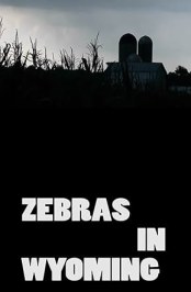 Zebras in Wyoming